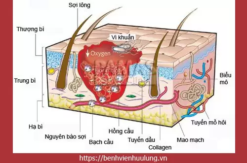 Làm Sao Để Biết Mình Có Bị Hôi Nách Không? - Hướng Dẫn Chi Tiết